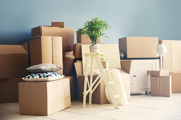 BS Cargo Logistics Packers and Movers