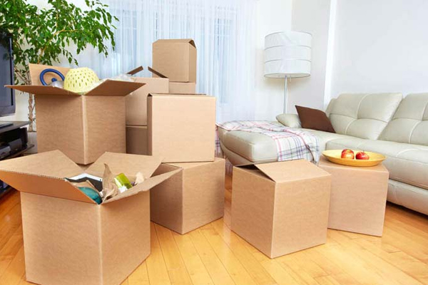 BS Cargo Logistics Packers and Movers